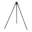 fox carpmaster tripod