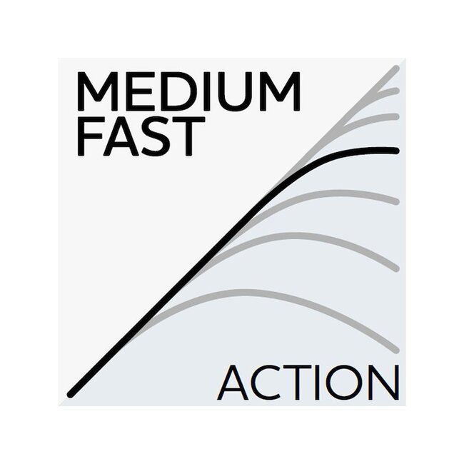 westin w2 super finesse