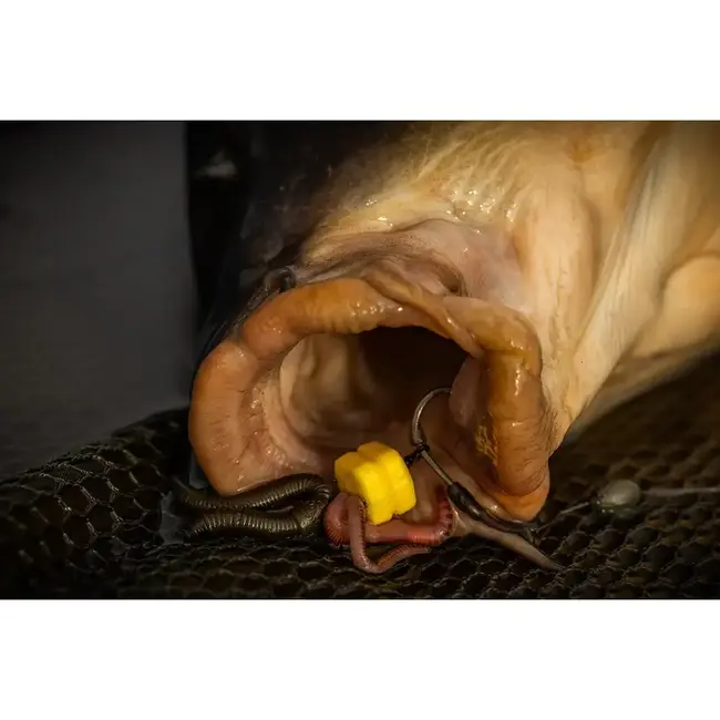 pole position corn maggot clips