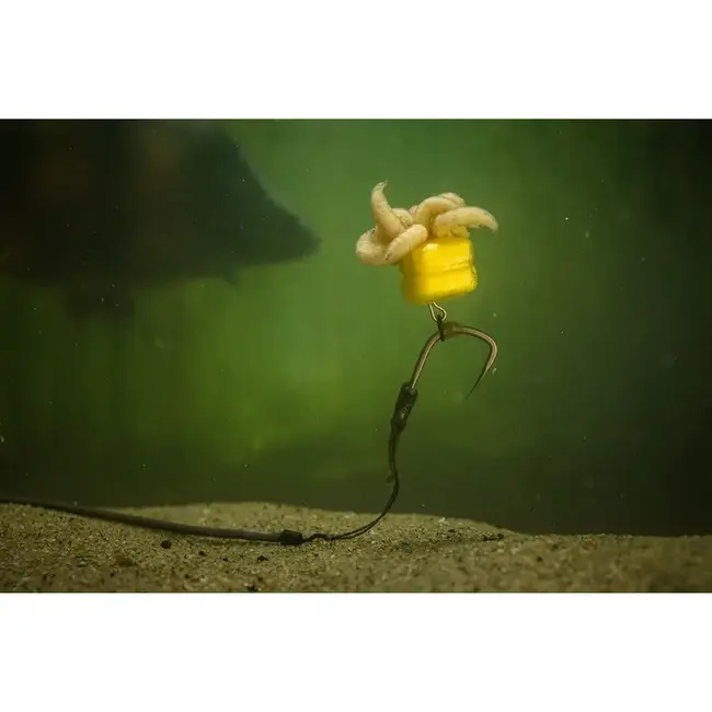 pole position corn maggot clips