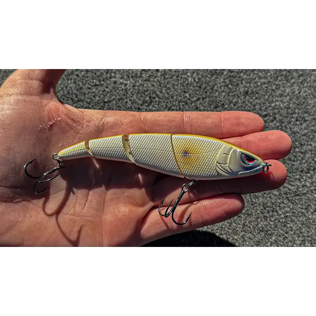 trakker bryan new sashimmy swimmer