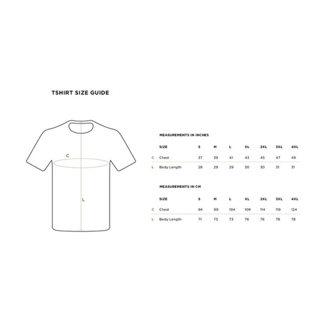 pole position x new moon tee