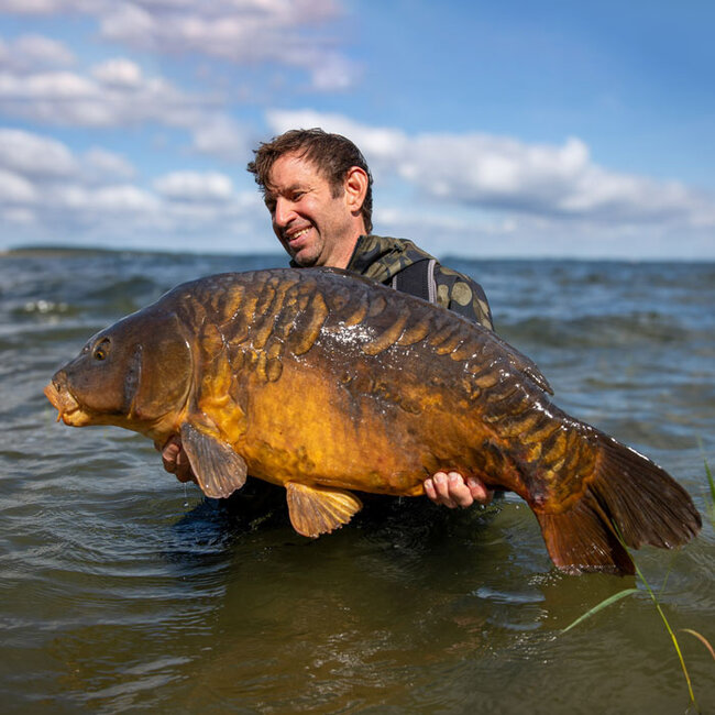 Sportex Rods fbc cs-4 carp **new model**