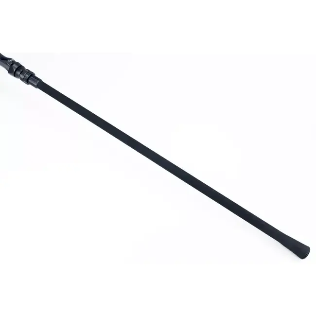 Sportex Rods dna cs-3 carp 10ft