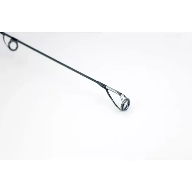 Sportex Rods grapheon cs-2