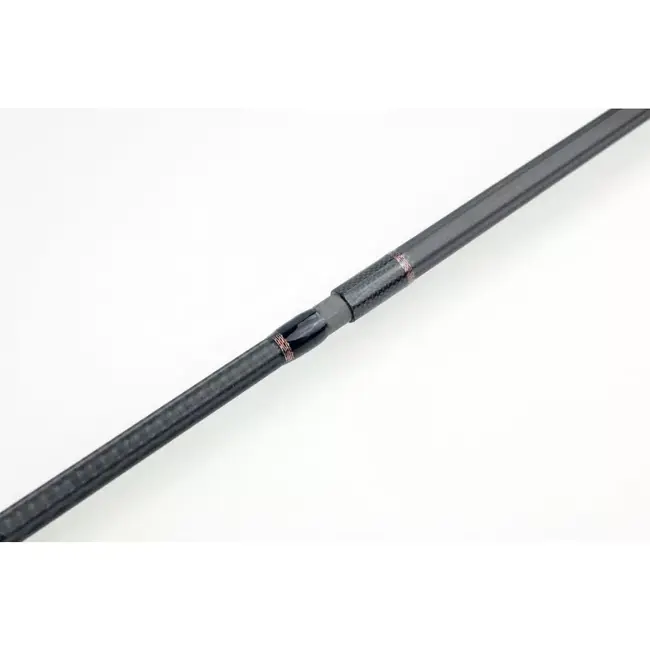 Sportex Rods beyond carp cs-2