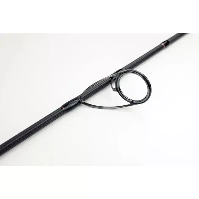 Sportex Rods beyond carp cs-2