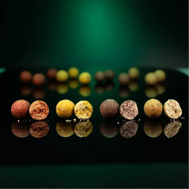 CC Moore live system continental 21mm 5kg **pre-order**