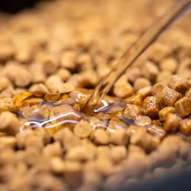 Sonubaits absolute fish oil