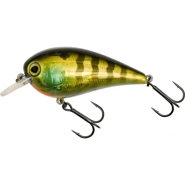 Westin giftbox luc coppens' favorites