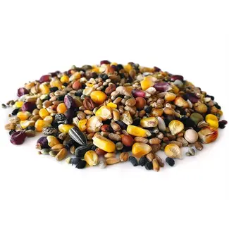 Pre-Baits pigeon conditioner dry - duivenvoer