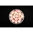 Forgotten Flavours ronny de groote - kkm 2026 meeting - pop ups