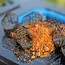 Preston flow mesh feeder small