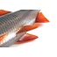 Fox Rage ultra natural roach
