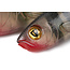 Fox Rage slick eel