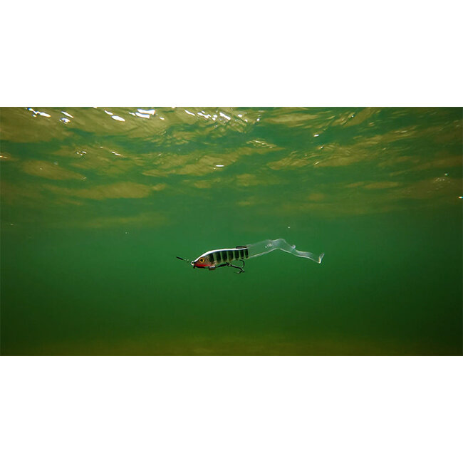 Fox Rage slick eel