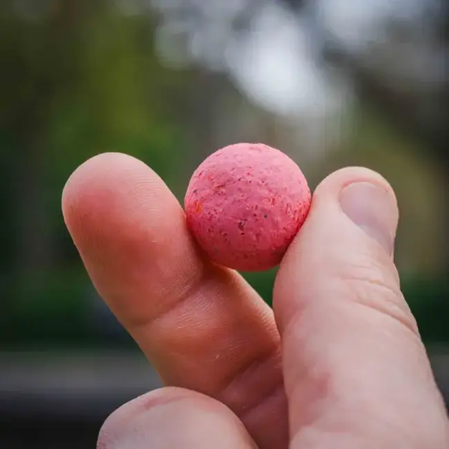 Cuyten Boilies fruity icecream hard hookbaits