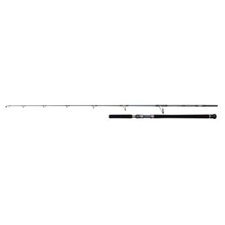 Penn battalion solid offshore 2.49 meter 30-150 gram