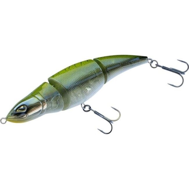 Rozemeijer fatal jr 13cm