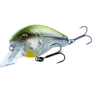 Rozemeijer crazy crank