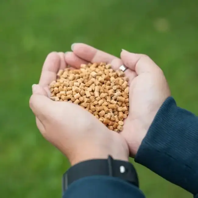 Mtc Baits sweet scopex pellets hi-attract