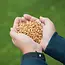 Mtc Baits sweet scopex pellets hi-attract