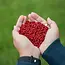 Mtc Baits krill pellets hi-attract