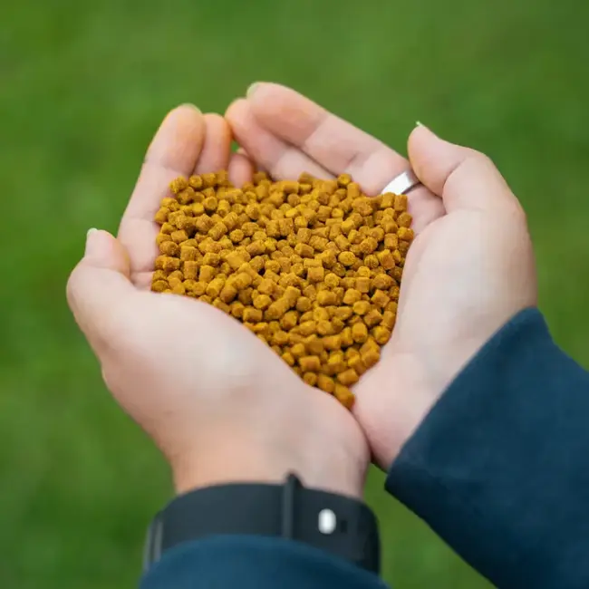 Mtc Baits big banana pellets hi-attract