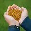 Mtc Baits big banana pellets hi-attract