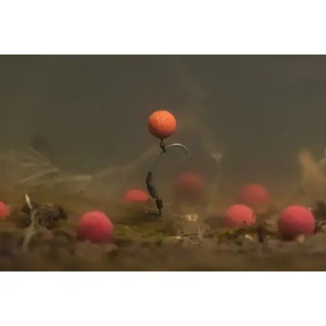 Korda pop-up  boilie