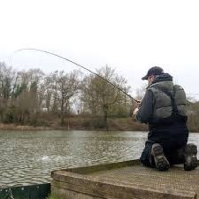 Nytro commercial pellet waggler