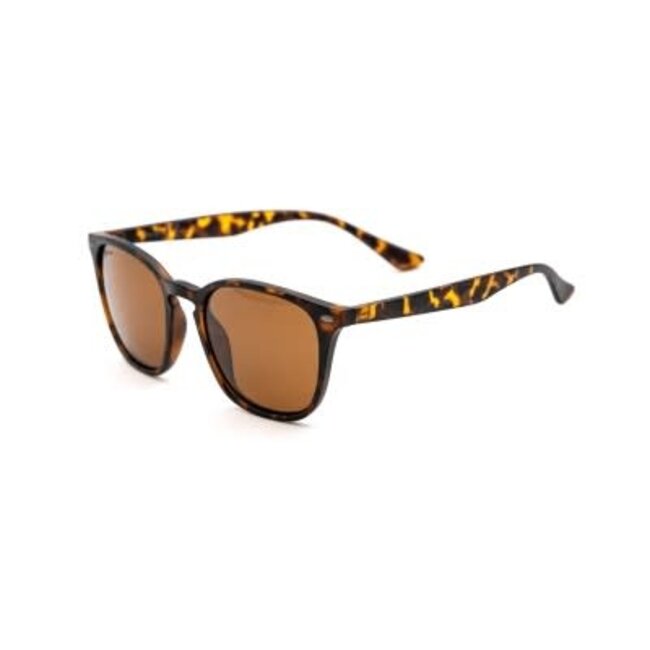 Korda shoreditch - matt tortoise shell/ brown lens