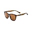 Korda shoreditch - matt tortoise shell/ brown lens