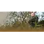 Wychwood s2 specialist penhengel 12ft 1.75lb