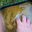 Mainline match pellet paste