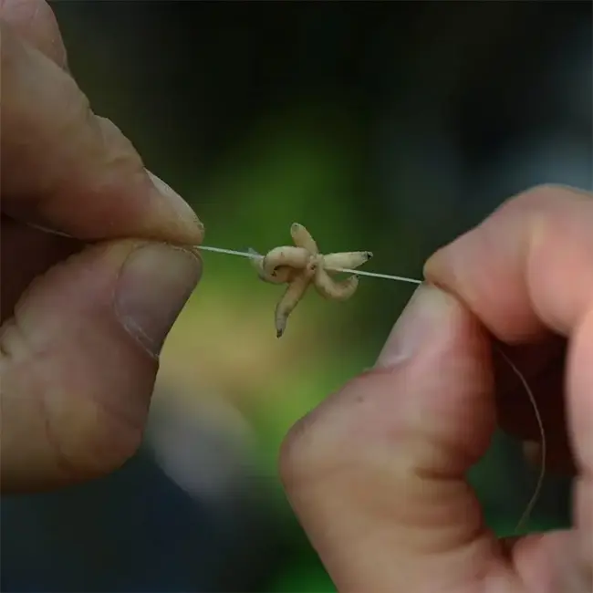 Korda bait floss unwaxed extra strong