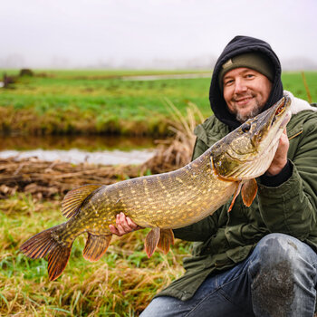 Roofvis Deals