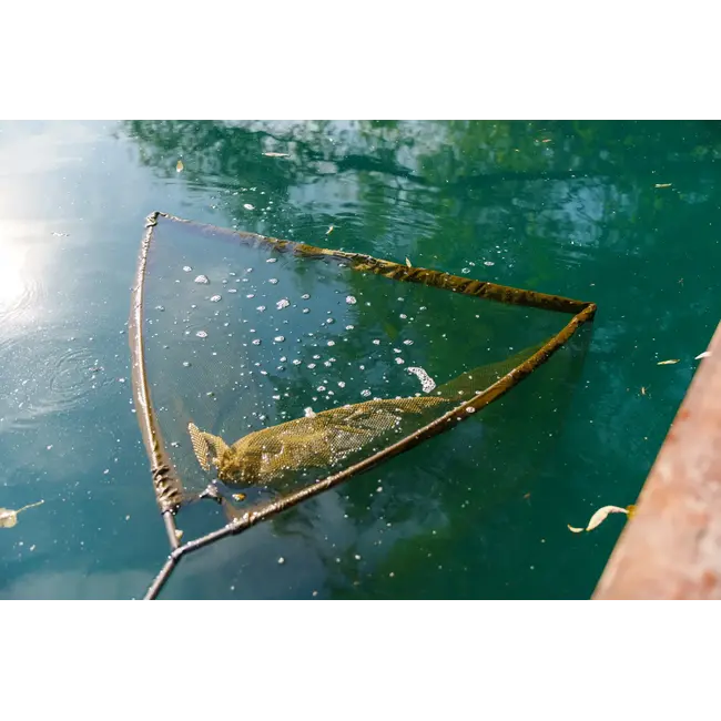 Nash scope ops retract landing net  **pre-order**
