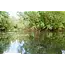 Nash scope ops retract landing net  **pre-order**