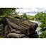 Nash scope all in one transporter  **pre-order**