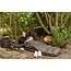 Nash scope ops 4 fold pro sleep system **pre-order**