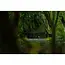Nash scope mozzi shroud  **pre-order**