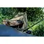 Nash scope mozzi shroud  **pre-order**
