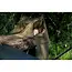 Nash scope mozzi shroud  **pre-order**