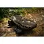 Nash scope ops all season bedchair cover  **pre-order**