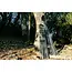 Nash spot ons bushwhacker pro baiting pole 15 meter