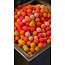 PB Products x forgotten flavours christmas candy limited edition giftset **pre-order**