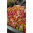 PB Products x forgotten flavours christmas candy limited edition giftset **pre-order**