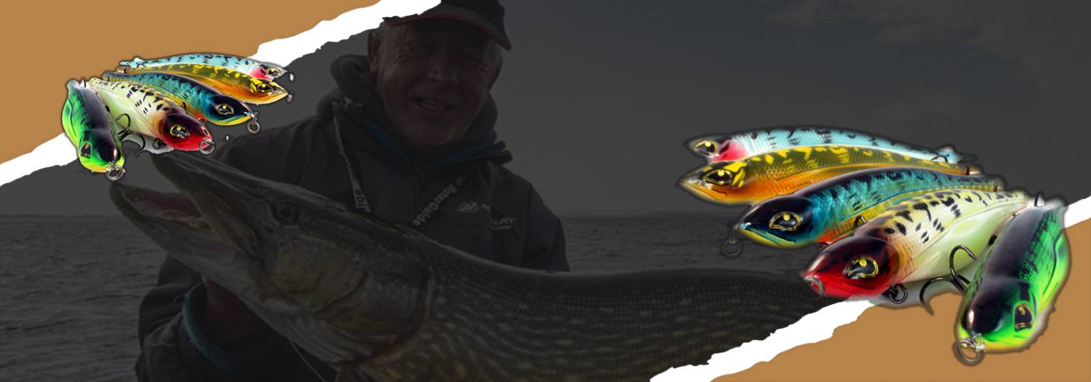 Rozemeijer Actie Deals