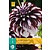 Dahlia Tartan - 1 Tuber